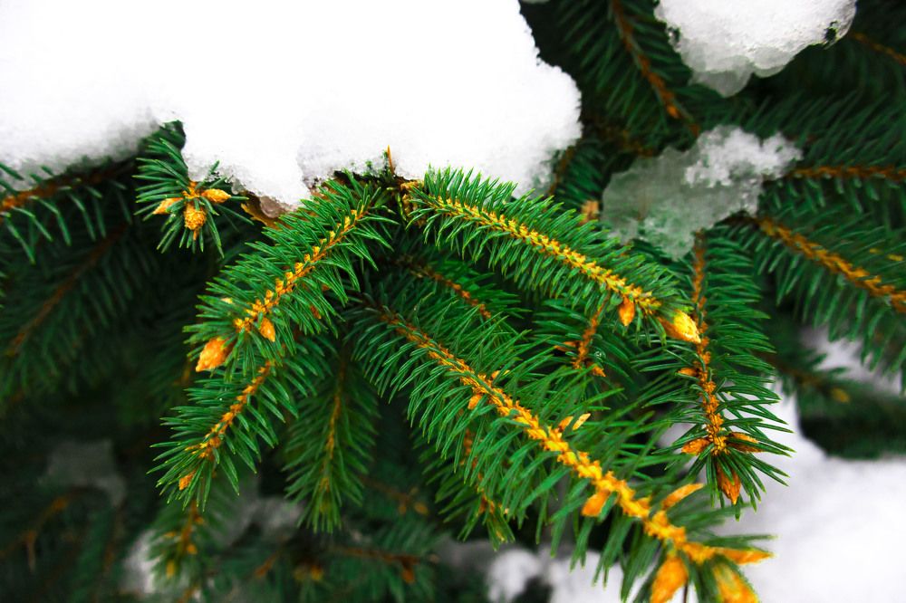 Фотография автора Екатерина