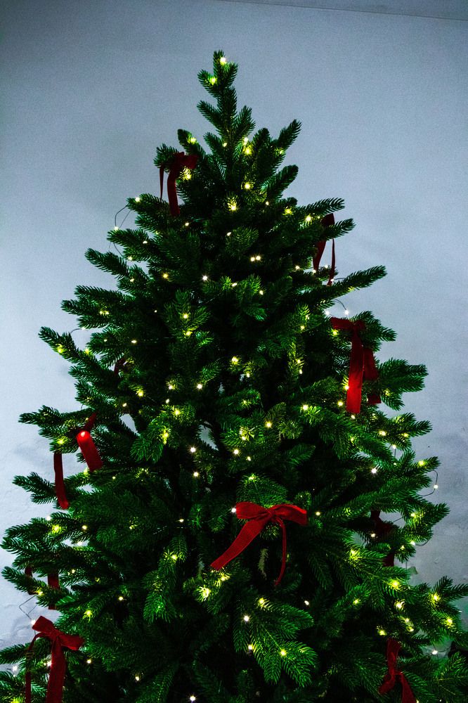 Фотография автора Екатерина