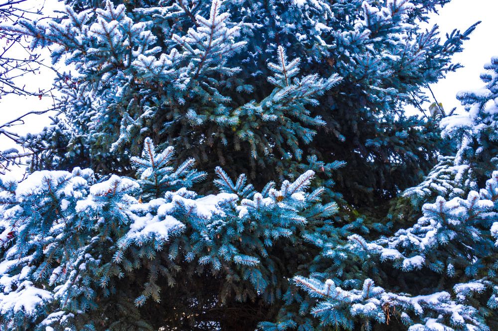 Фотография автора Екатерина