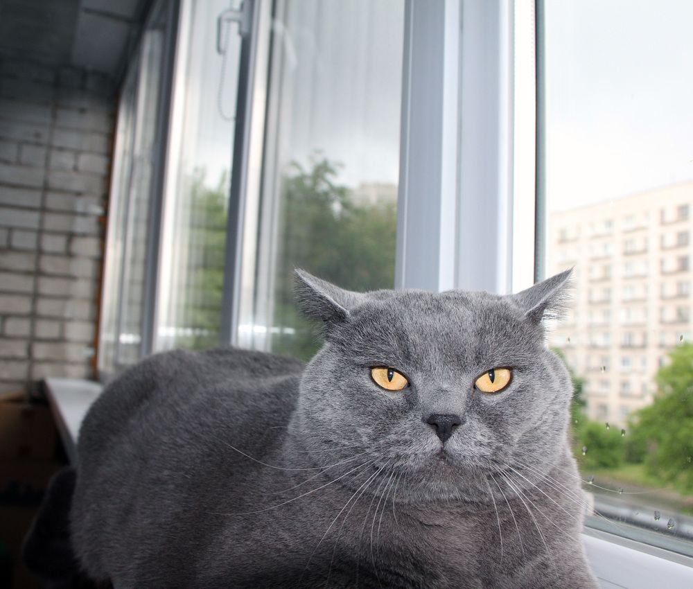 Фотография автора Екатерина