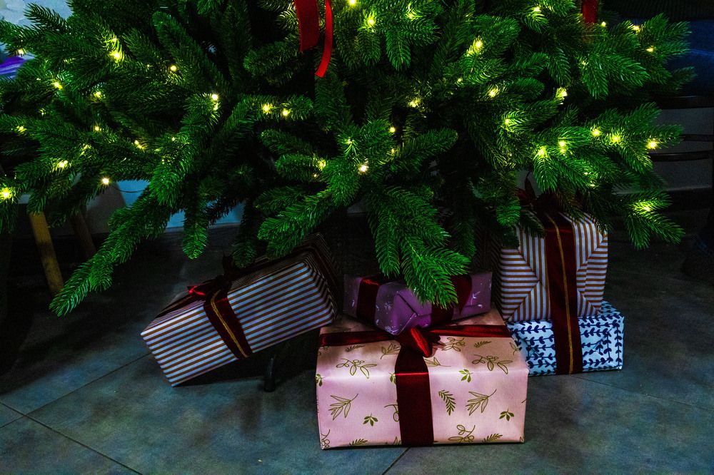 Фотография автора Екатерина