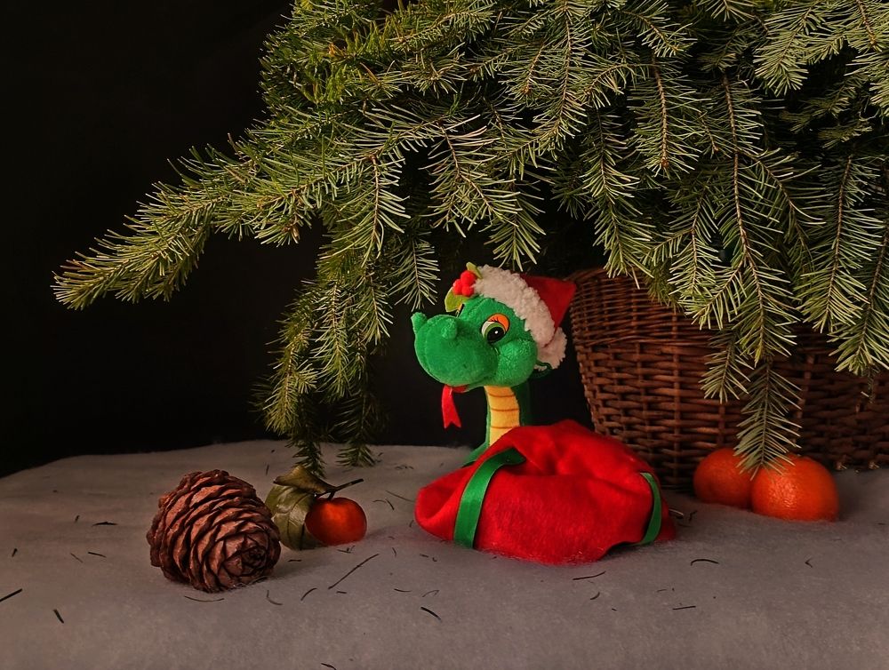 Фотография автора Татьяна Антонова