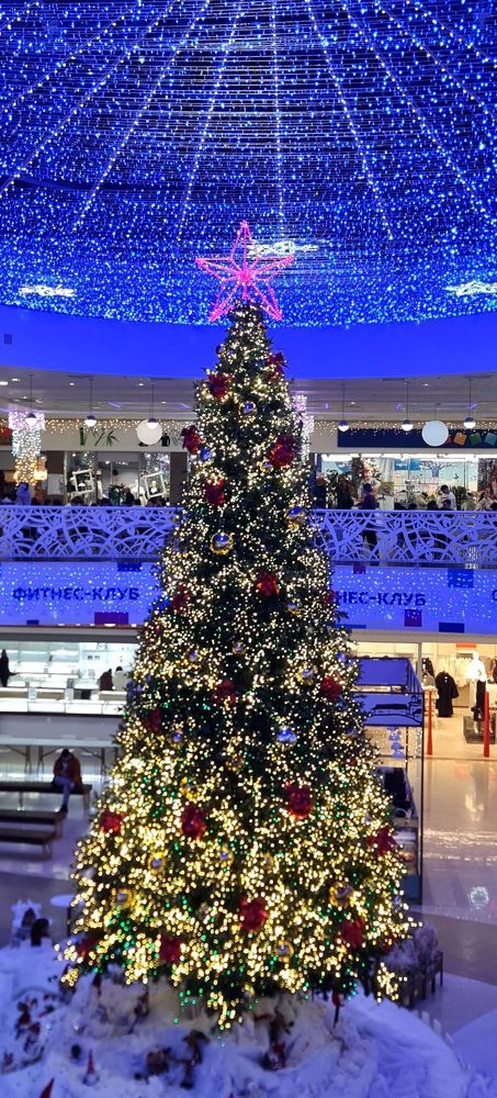 Photograph by Natasha Kim