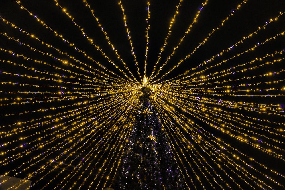 Фотография автора Екатерина