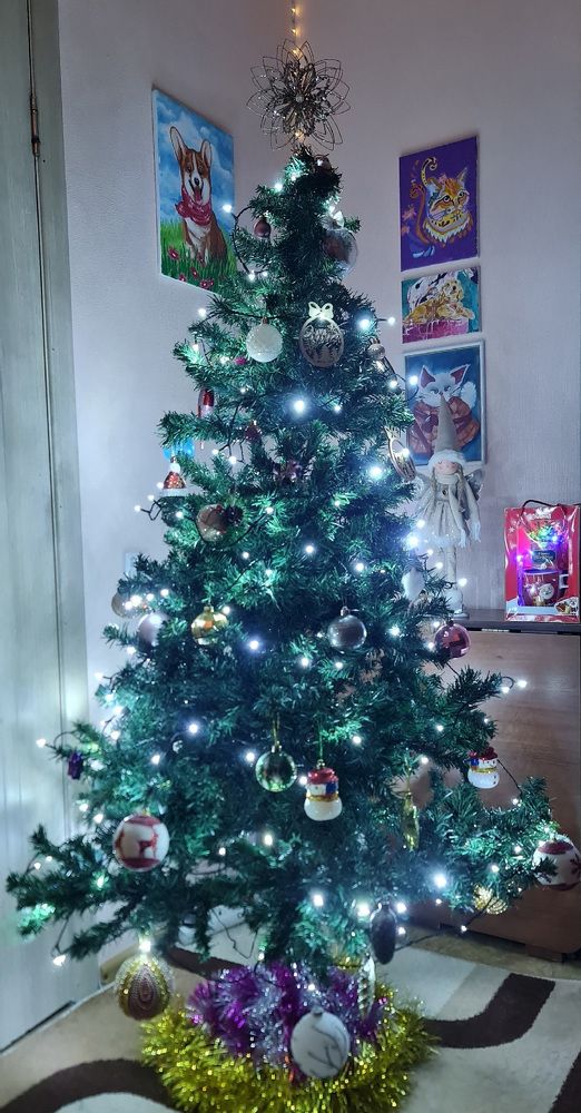 Photograph by Natasha Kim