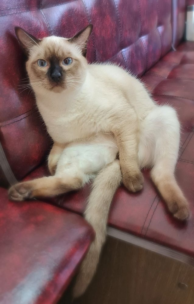 Photograph by Natasha Kim