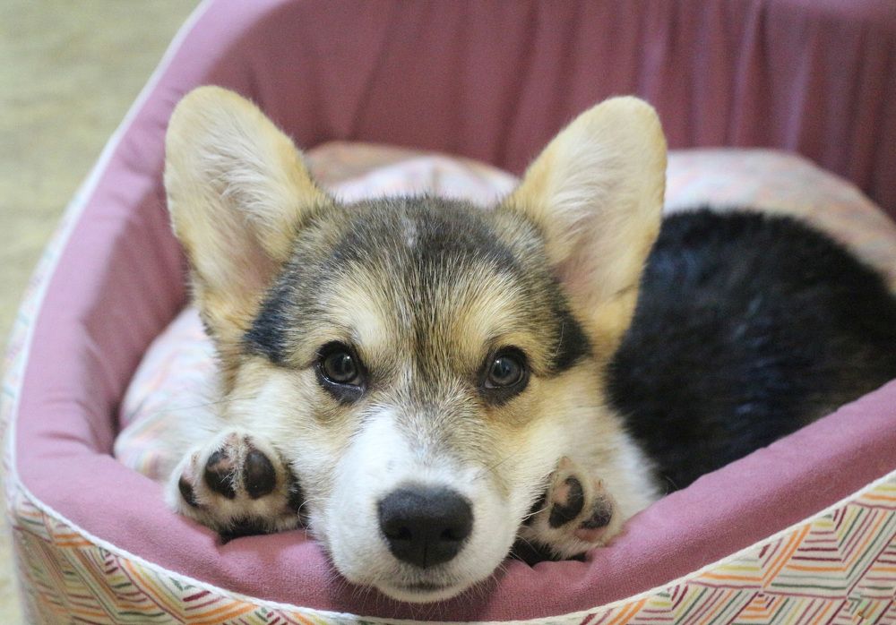 Photograph by Natasha Kim