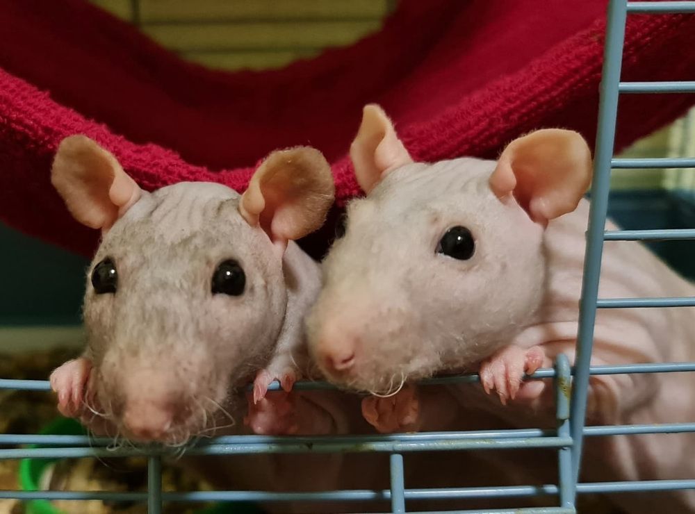 Photograph by Natasha Kim