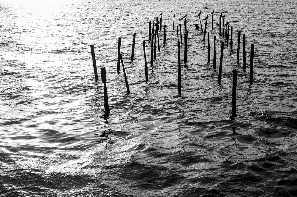 Нотный стан