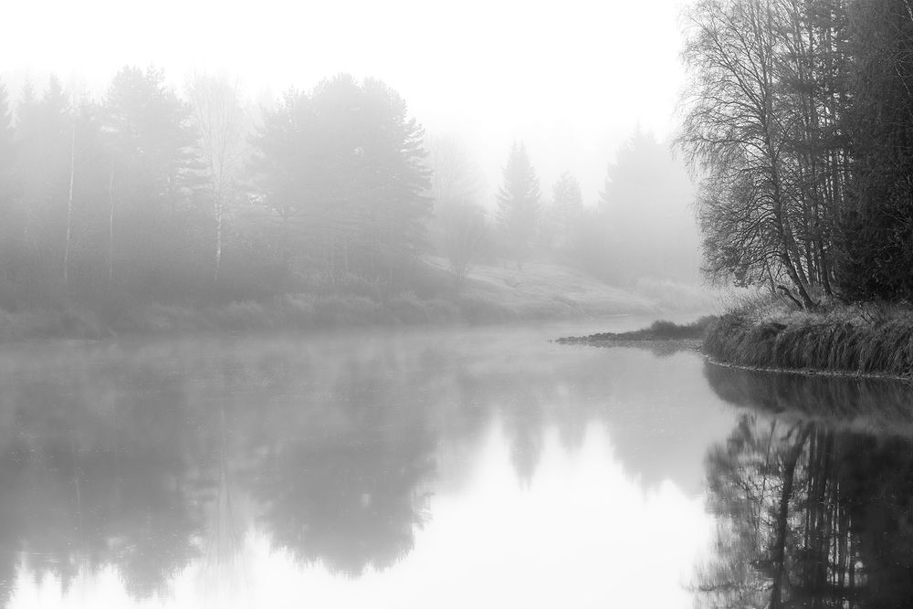 Photograph by Елена Амозова