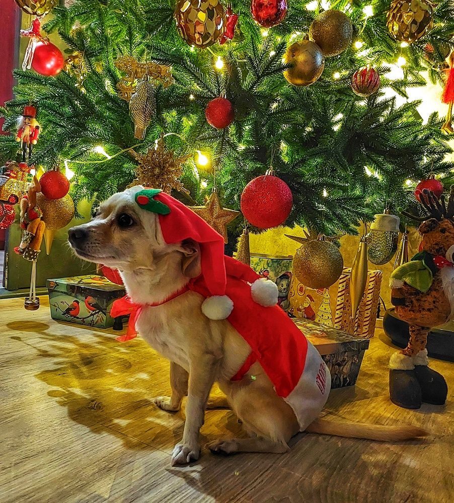 Photograph by Юлия Коробкова