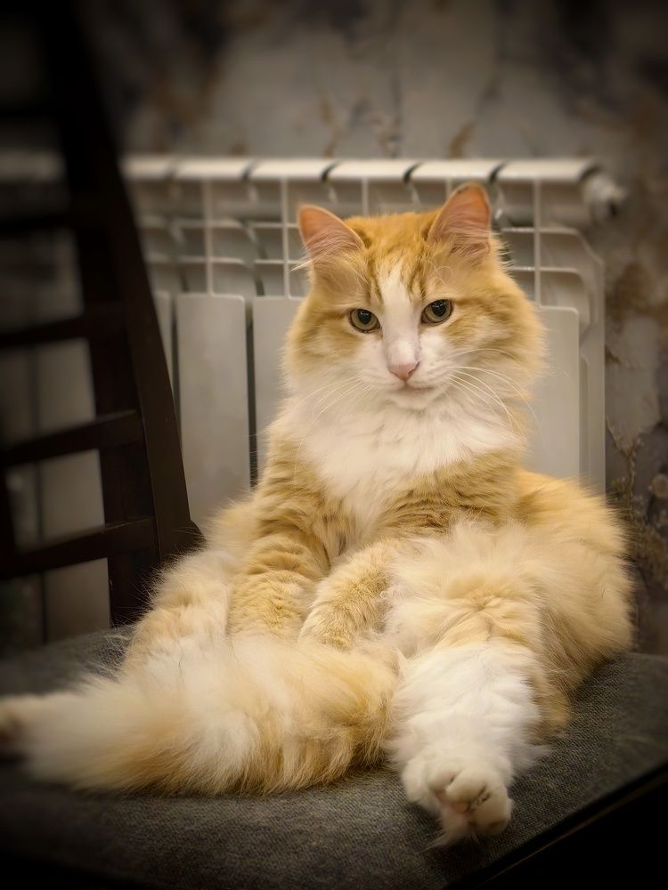 Photograph by Сергей Зайцев