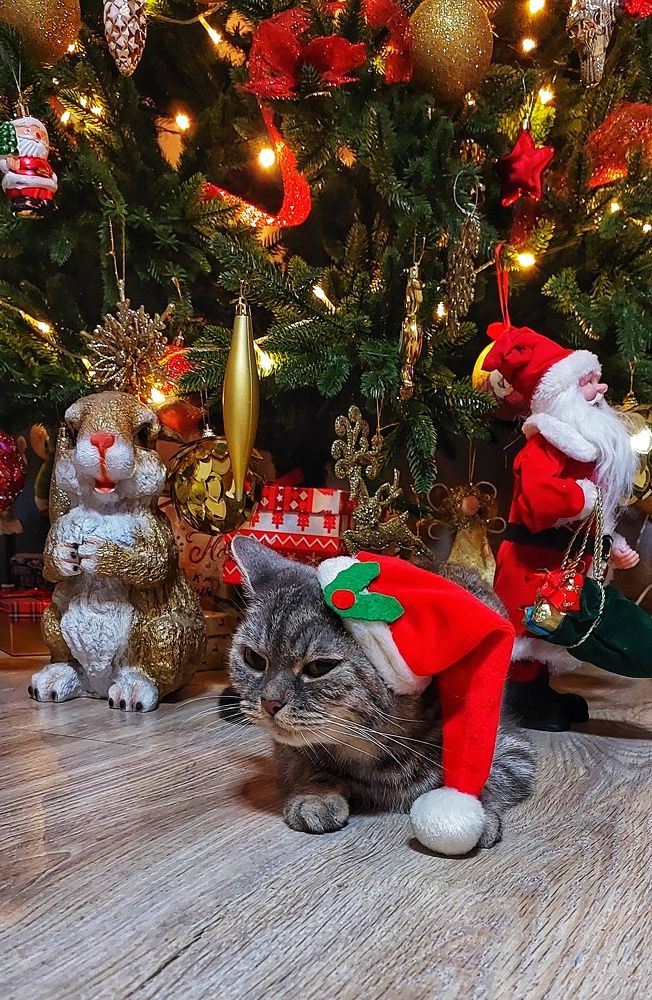 Photograph by Юлия Коробкова