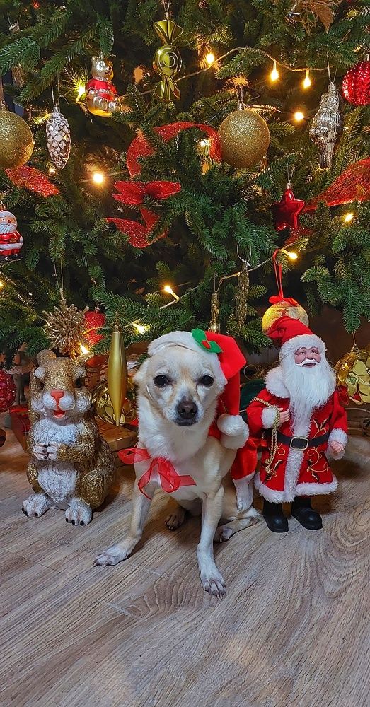 Photograph by Юлия Коробкова