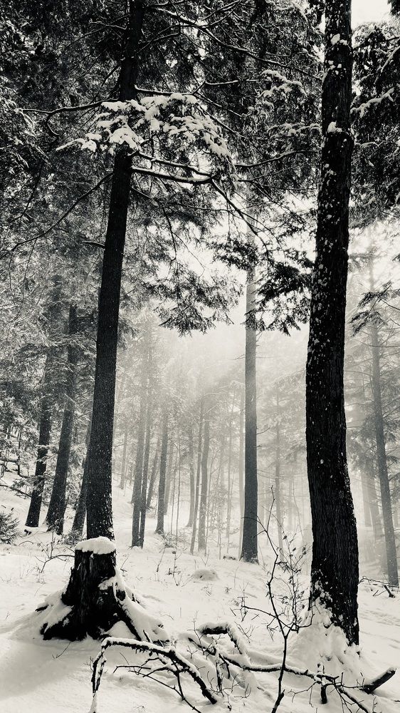 Фотография автора Olga Andriuc