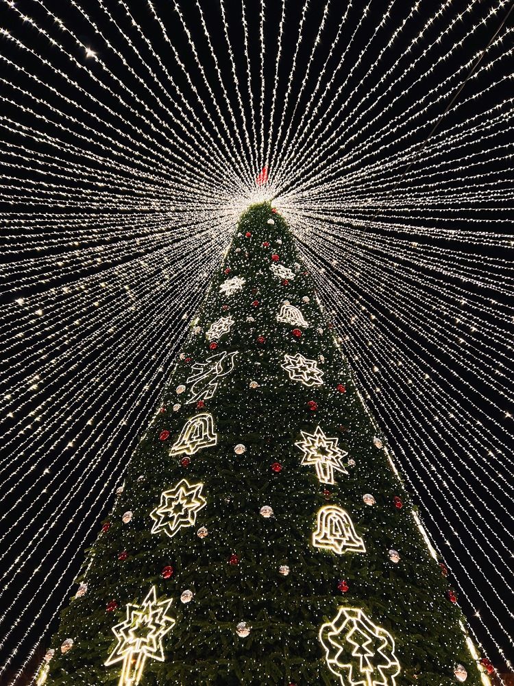 Photograph by Татьяна Волохова