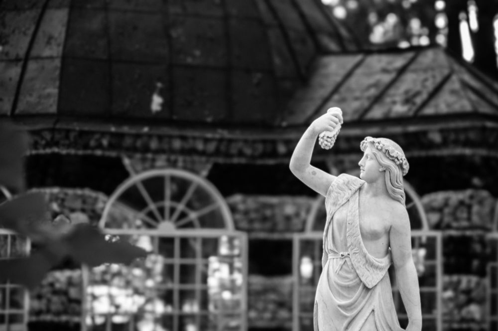 Photograph by Алексей