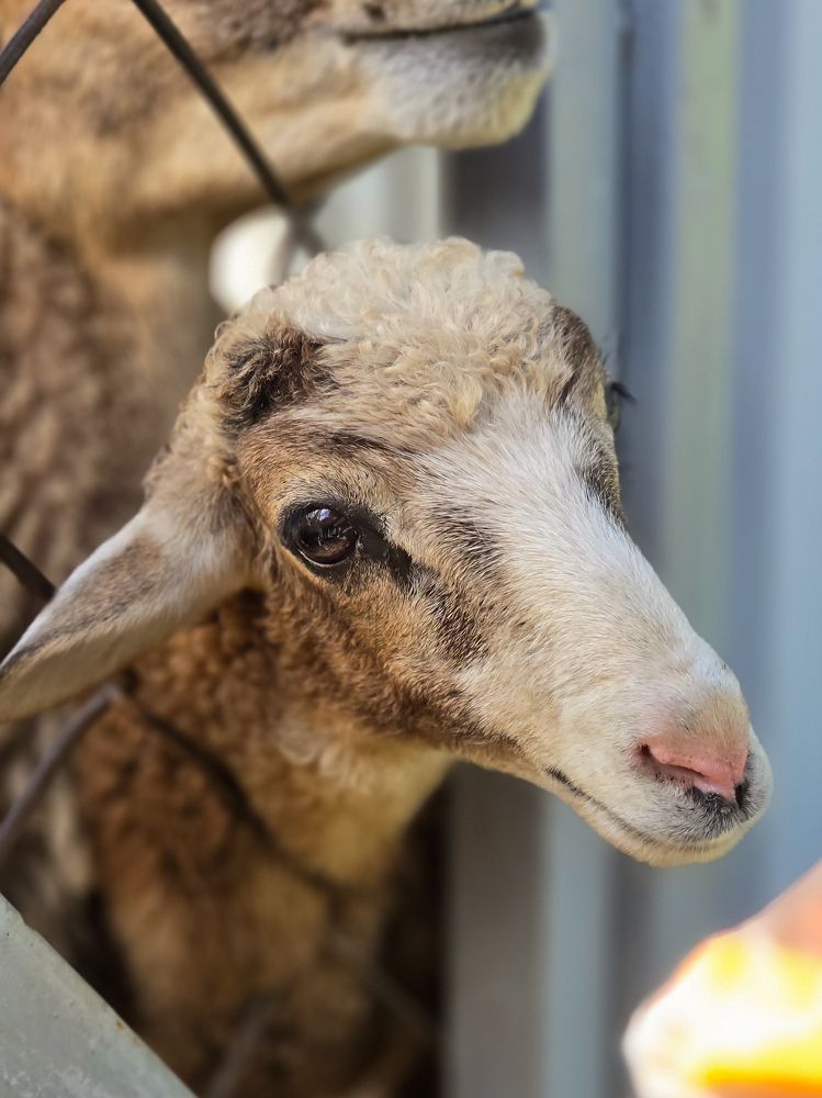 Photograph by Ольга Дёмина