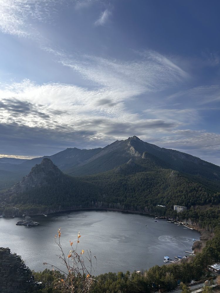 Photo #11569140