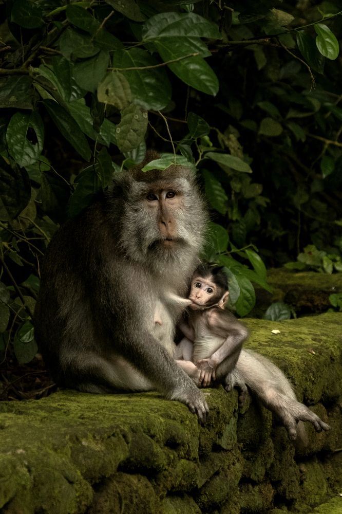 Photograph by İNCİ KOYUNCU