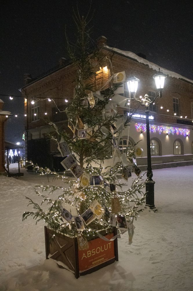 Фотография автора Веста Ягужинская