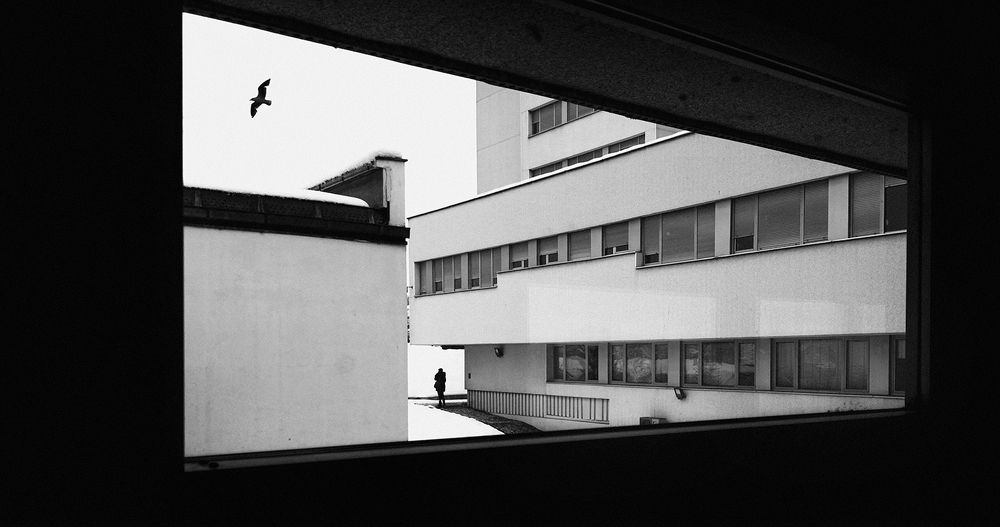 Фотография автора Abdullah Ibradžić