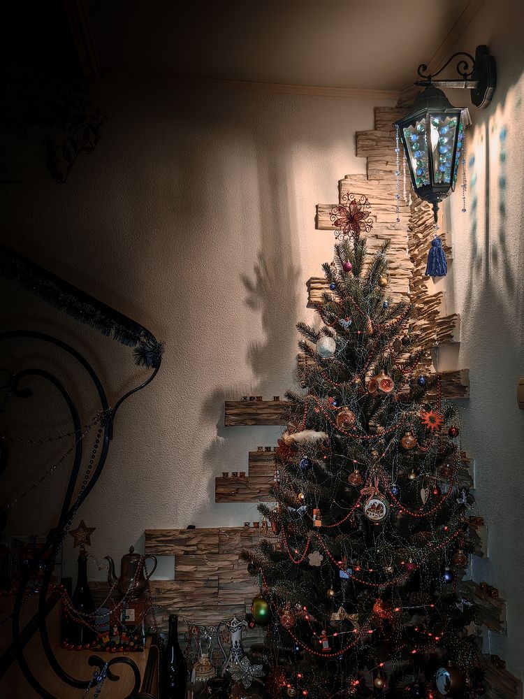 Photograph by Igor M.