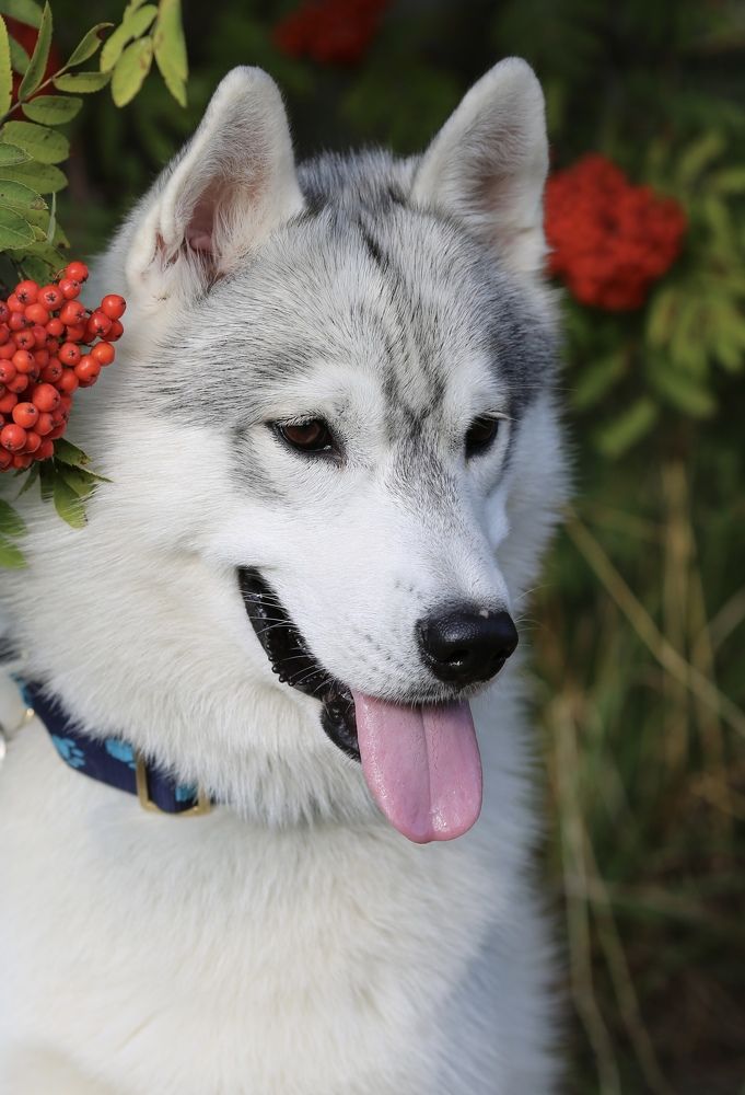 Photograph by Елена Одынец