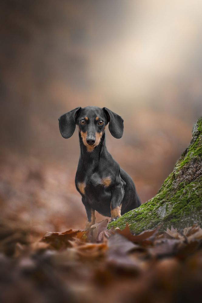 Photograph by Paula Casado Gutierrez