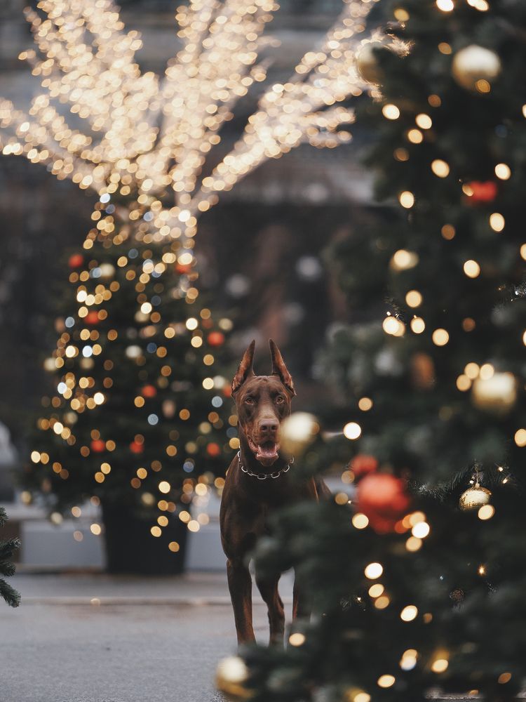 Photograph by Мария Клещенко