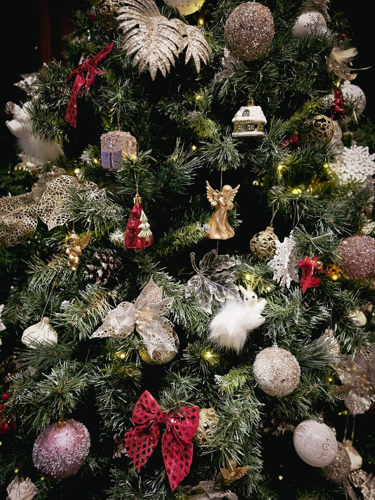 Photograph by Елена Сиушова