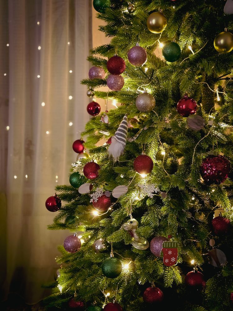 Photograph by Елена Сиушова