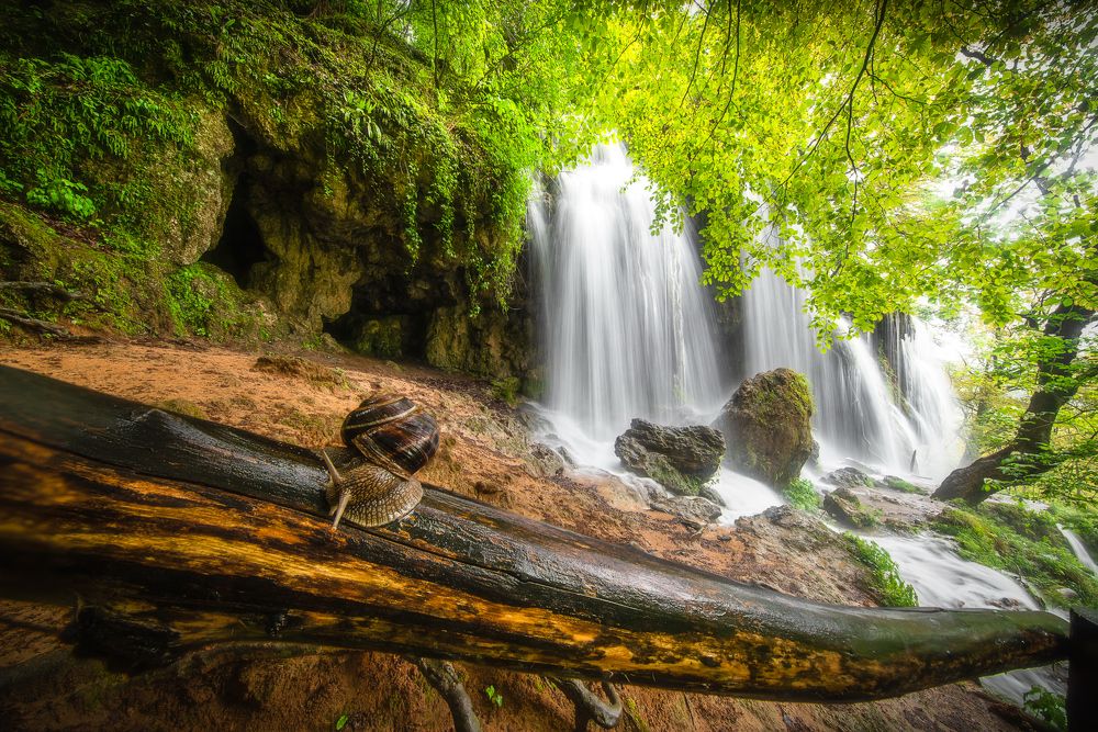 Фотография автора Mariyana Atanasova - Lucero