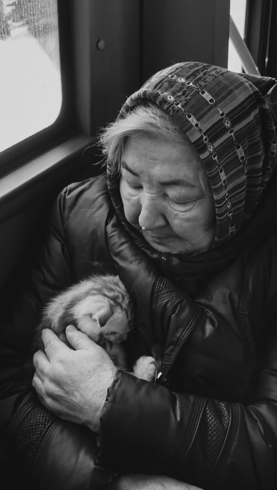 Photograph by Александр Шаварёв