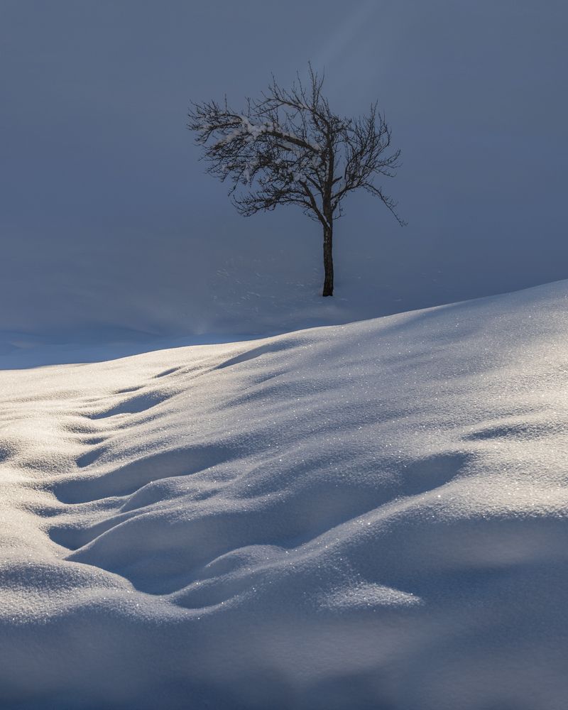 Photograph by Demir Pepic