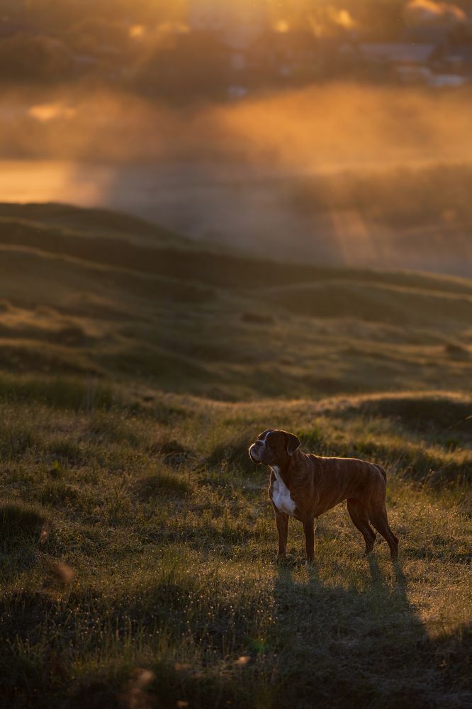 Photograph by Елена Якусева