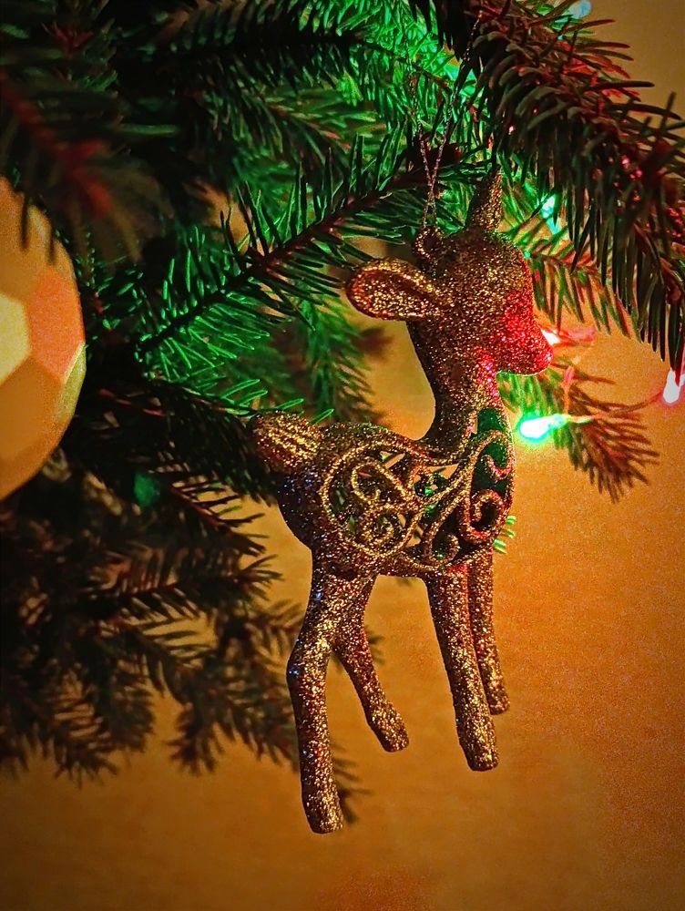 Photograph by Светлана Таркан