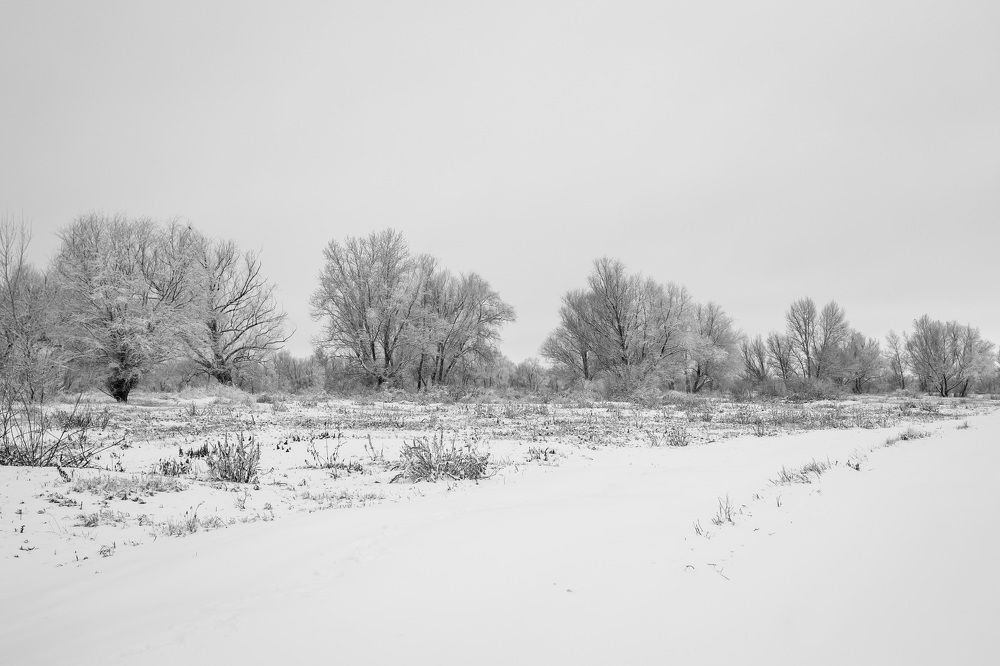 Photograph by Олег Дорошенко