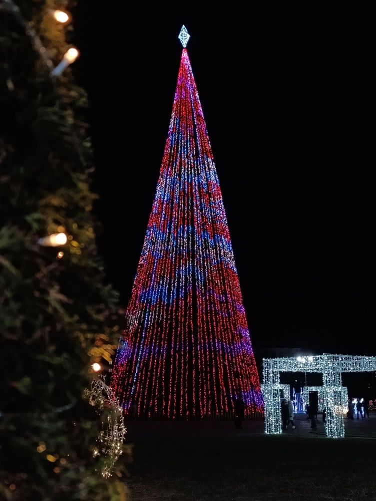 Photograph by Светлана Таркан