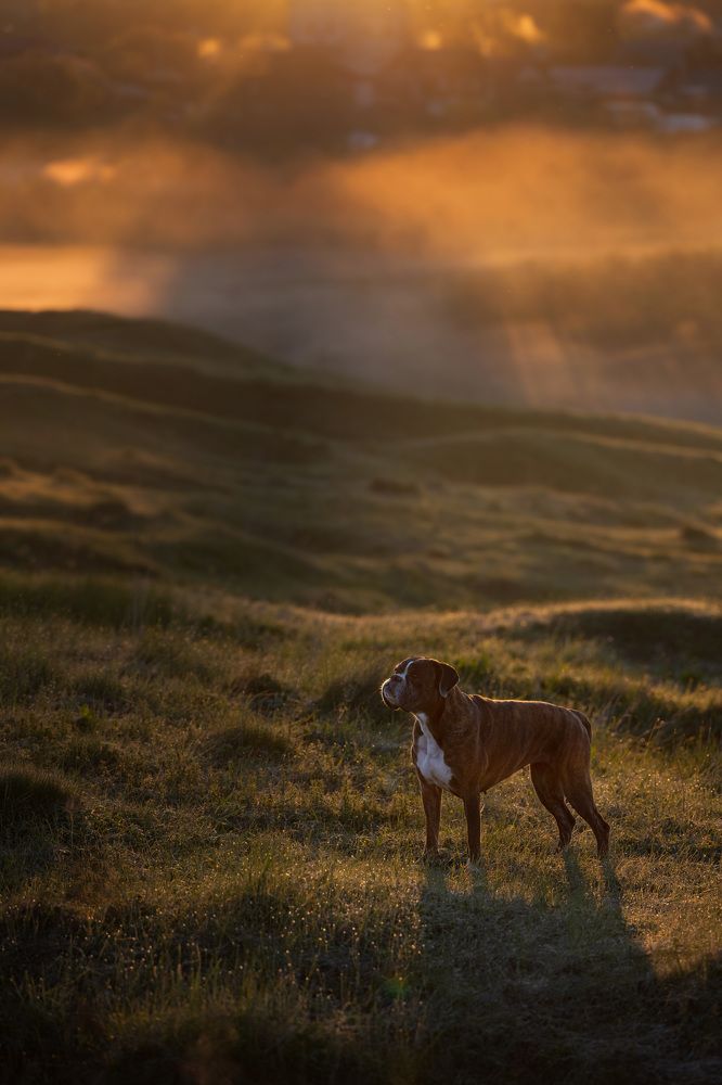 Фотография автора Елена Якусева