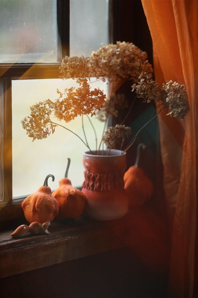 Осенний свет