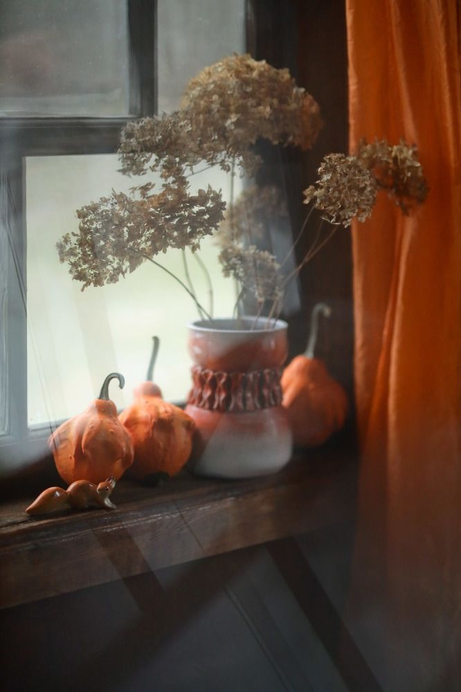 Осенний цвет