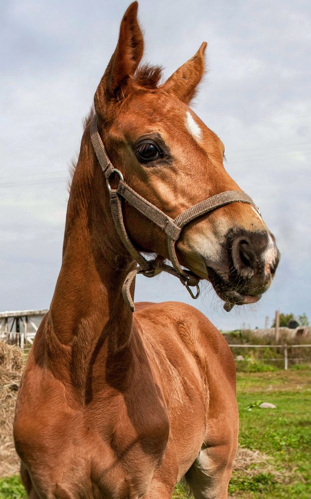 Photograph by Юлия Алексейчикова