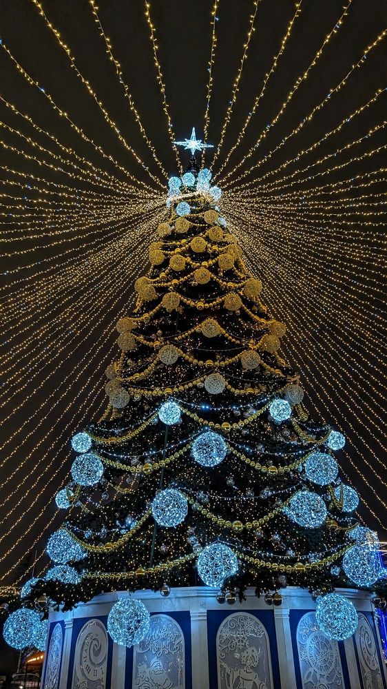 Photograph by Любовь Колмакова