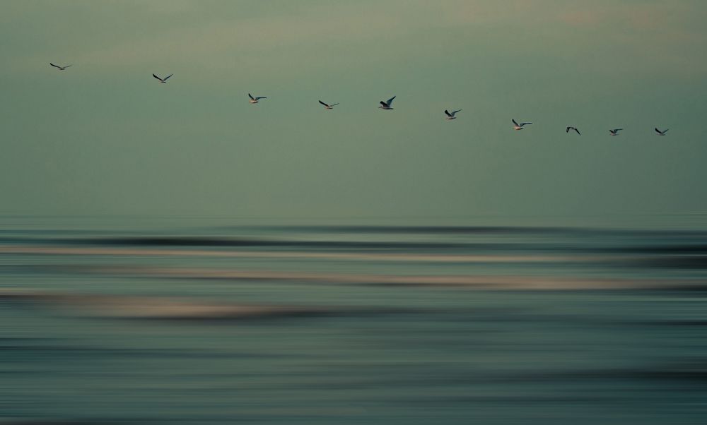 Photograph by Alireza Masoumy