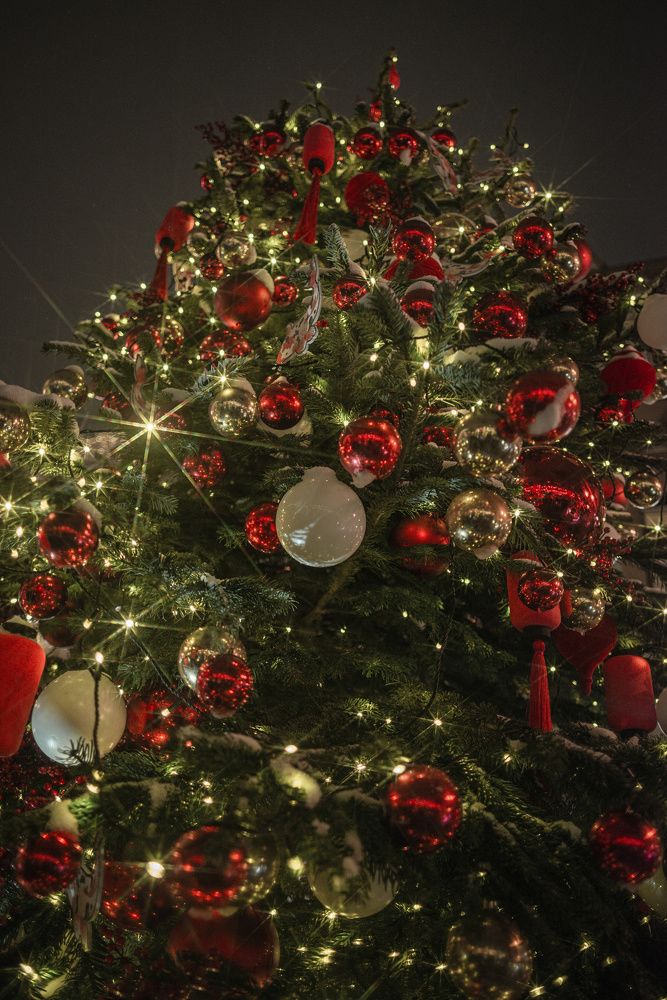 Photograph by Сергей Басов