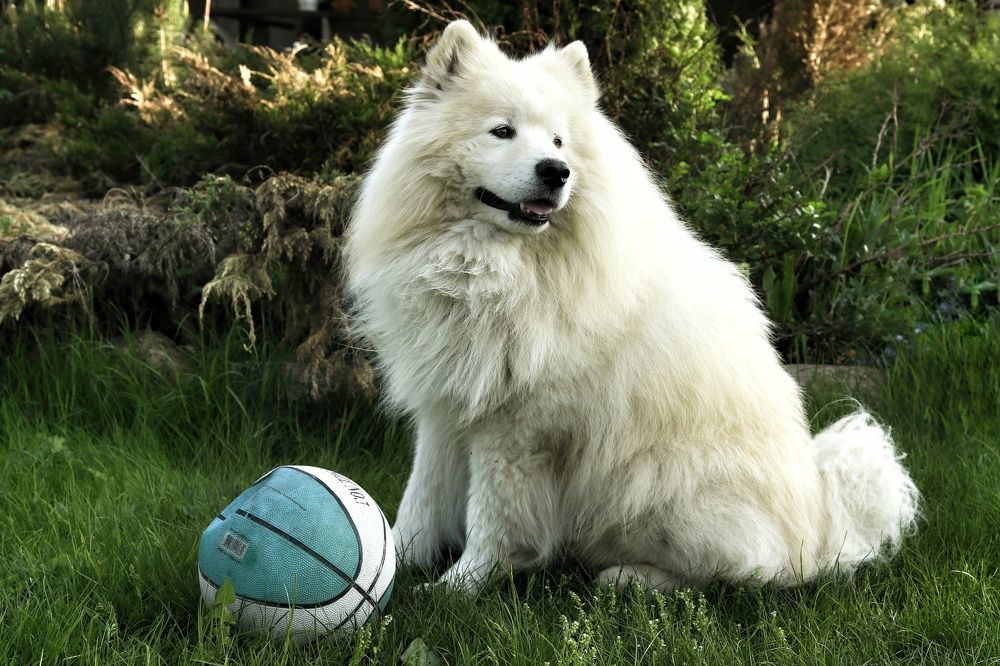 Photograph by Vladimir Freedom