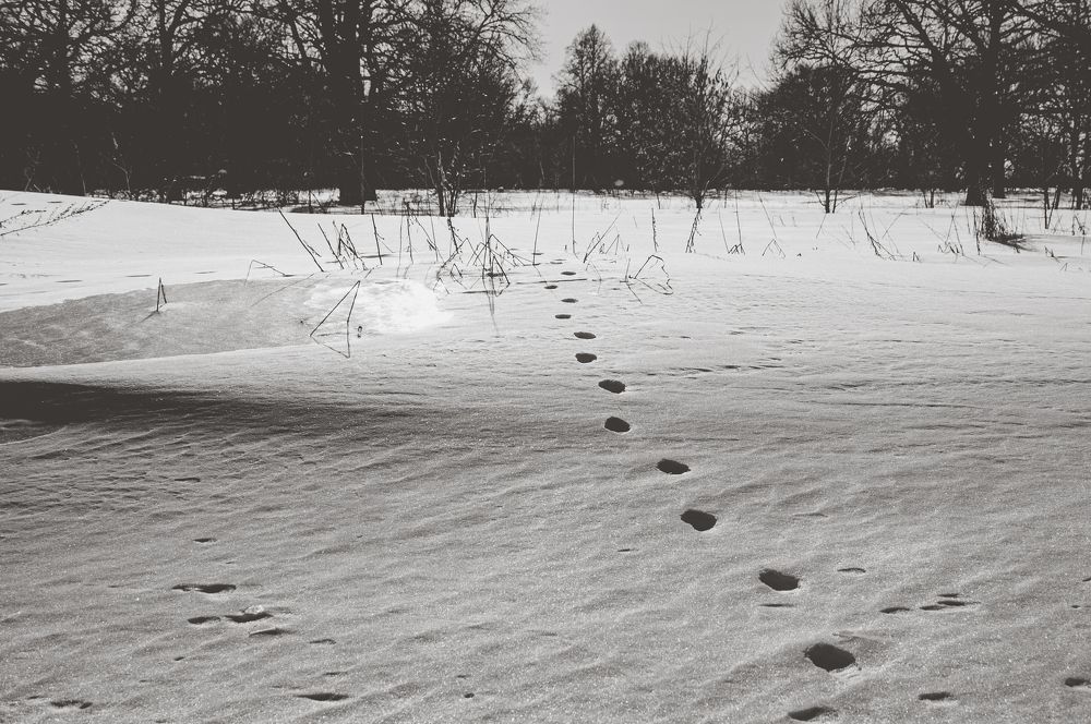 Photograph by Алексей