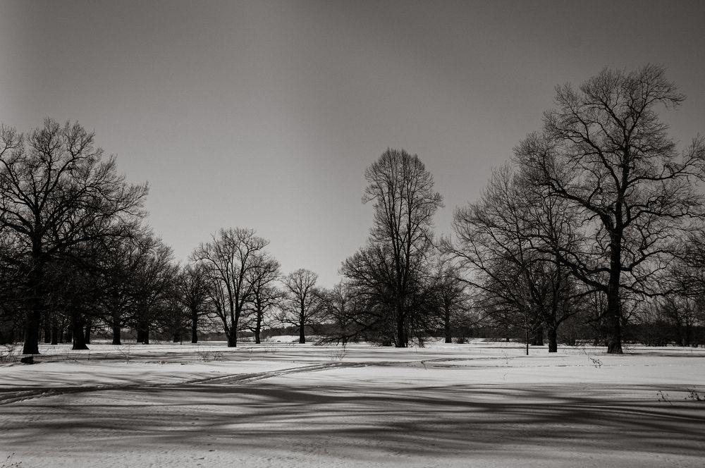 Photograph by Алексей