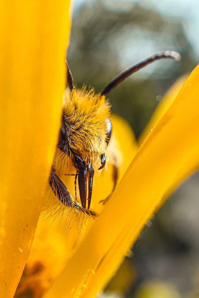 Photograph by Елена Макеева